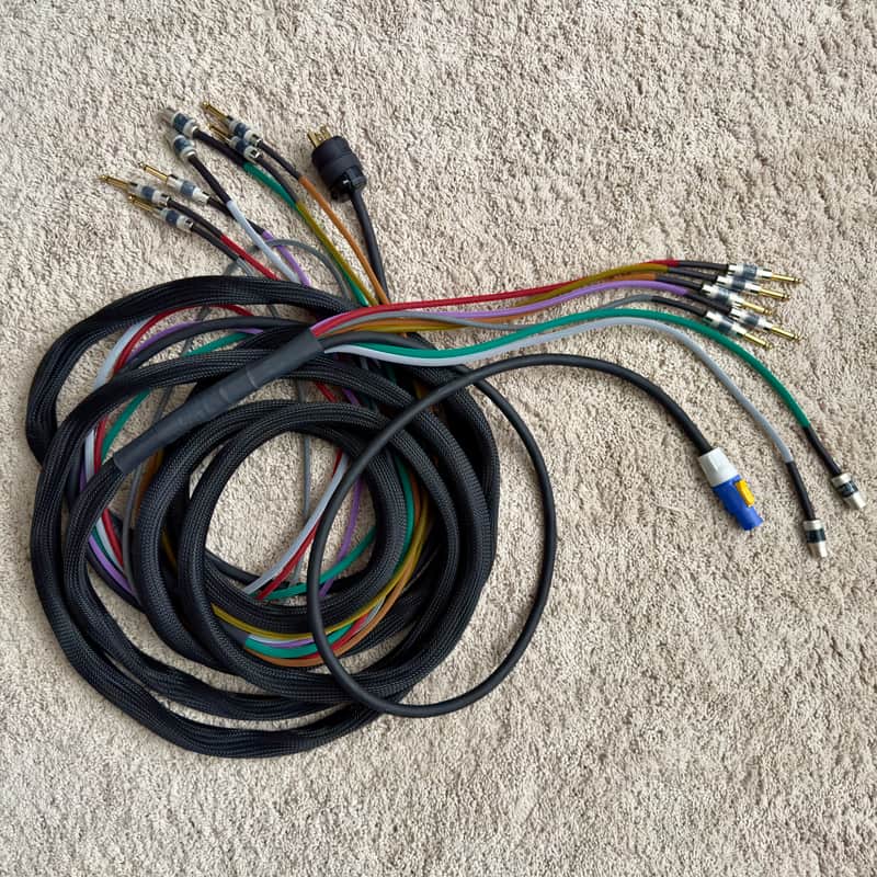Omilion Audio Cable Loom w/ instrument, MIDI, and Power image 1