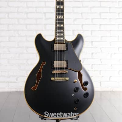 Ibanez JSM20TH BK 【John Scofield Signature Guitar 20th