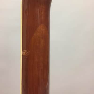 Zager ZAD-80 Acoustic Guitar USA Made Signed By Builder image 8