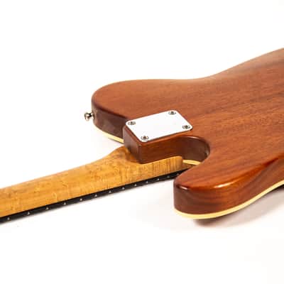 Hamburguitar Tele Style Guitar Owned by Mike Campbell image 19
