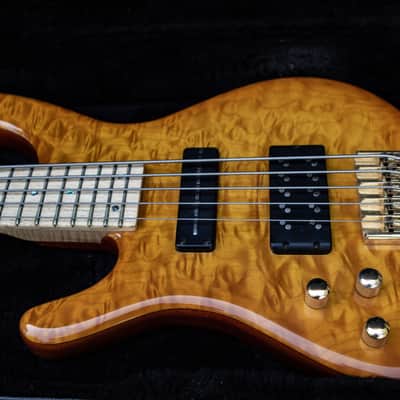 Left Handed Nordstrand Very Custom 5 String Bass image 1