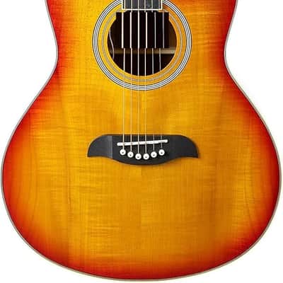 Acoustic-Electric Cutaway Guitar image 1