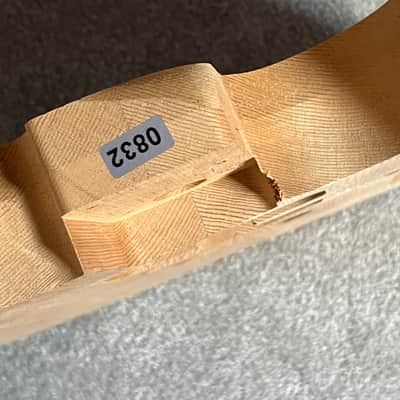 Fender American Professional II Telecaster guitar body image 5