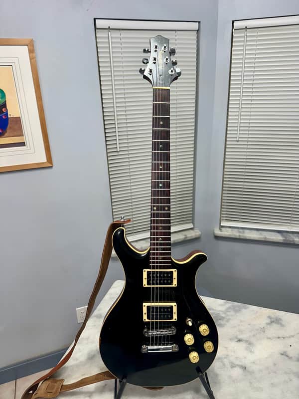 2003 Anderberg Gunnie Carved Top Neck Thru Custom image 1