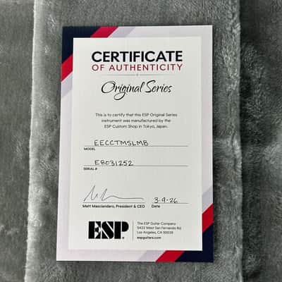 ESP Original Series Eclipse Custom Silver Liquid Metal Burst w/case E8031252 image 10