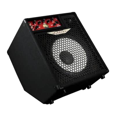 Ashdown OriginAL C112T-300 Bass Combo EX Demo image 2