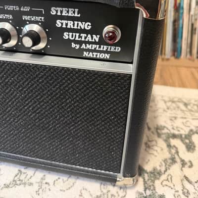Amplified Nation Steel String Sultan 100 watt Head 2019 - Black image 5