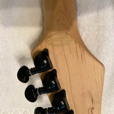 Agile Agile Fretless S-Style – Ebony Board + Hard Case 2019 - Black Transparent Flamed Maple body and neck image 12