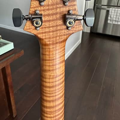 PRS Custom 24 Semi-Hollow Wood Library image 7