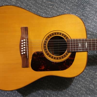 Vintage 1960s Giannini GS 680 12 String Acoustic Guitar Cedar Top Guitar Brazilian Rosewood Beautiful Lush Tones Case image 2