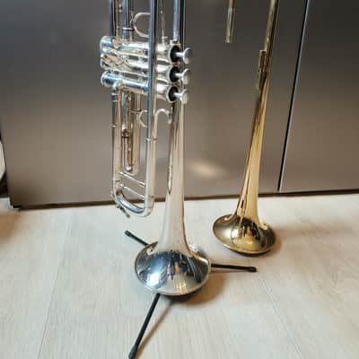 Markus Leuchter Custom 20s - Silver Gold image 2