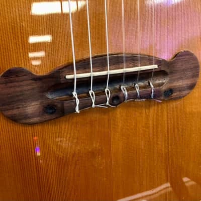 Gibson Chet Atkins Ren Ferguson SST Nylon String Acoustic Electric with Case - Pre Owned image 5