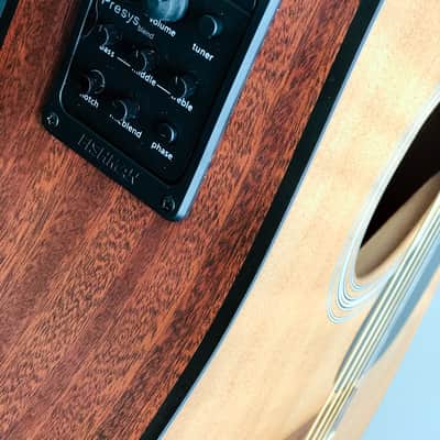 Martin DC-E1 with RARE Laminate Neck 2010 Made in the USA image 8