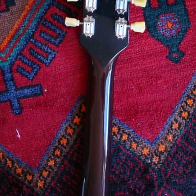Alvarez 5025 ( Dove ) 68-69 Rosewood/spruce image 10