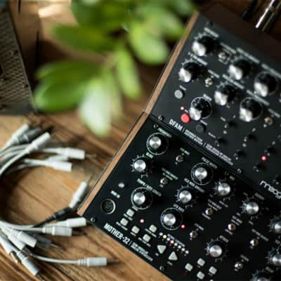 Moog Music DFAM (Drummer From Another Mother) image 3