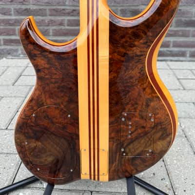 Alembic Custom EvH Signature Series II Superfilter image 10