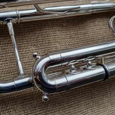 D. Calicchio DT-S1s/3M Dave TRIGG Model | Gamonbrass trumpet image 14