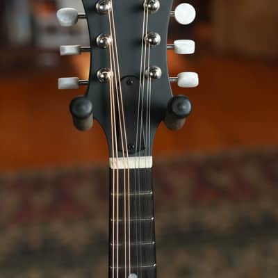 Eastman MD314 Spruce/Maple F-Style Oval Hole Mandolin #3716 image 6