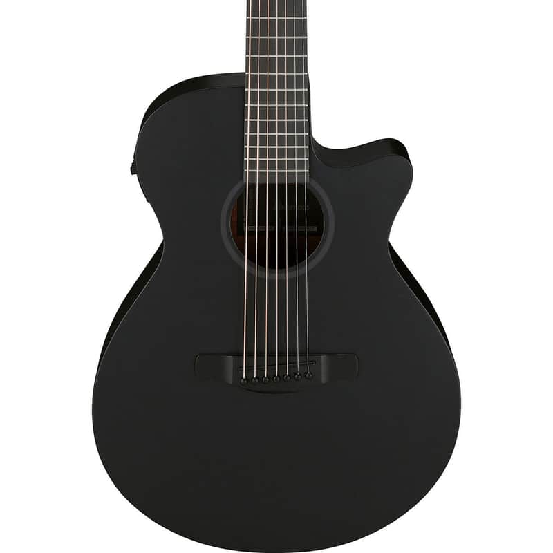 Ibanez AEG Series 7-String Acoustic Electric Guitar, Black Out image 1