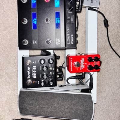 Complete Pedalboard Rig- HX Effects, Strymon Iridium, Hall of Fame, DC Brick, Volume Pedal + Bag image 8