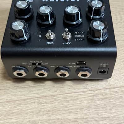 Strymon Iridium 2019 WITH Hislop IR’s image 3