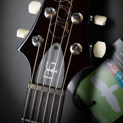 PRS DGT Gold Top Moons (0400580) image 14