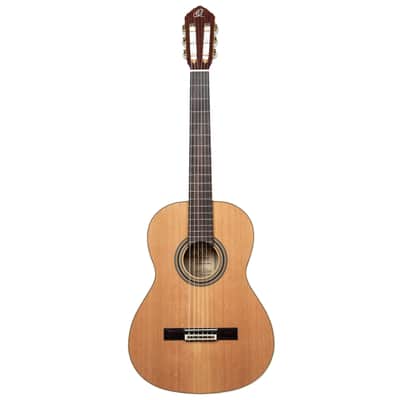 Ortega R20GSNRG Traditional Series Solid Cedar Top Mahogany Neck Nylon 6-String Classical Acoustic Guitar w/Gig Bag image 4