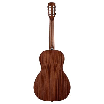 Alvarez mp66 2024 model Masterworks, Parlor with Flexicase included! NEW ! Just arrived ! image 5