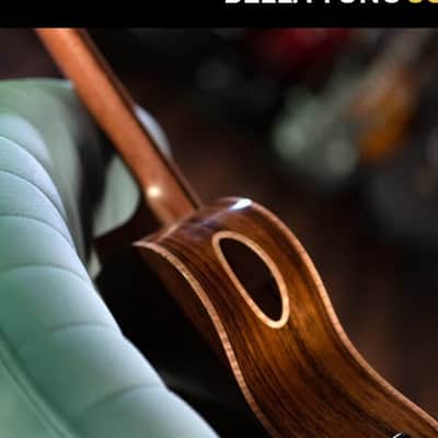 Washburn BTSC40SCE Bella Tono Studio Acoustic Electric Guitar Cutaway image 20