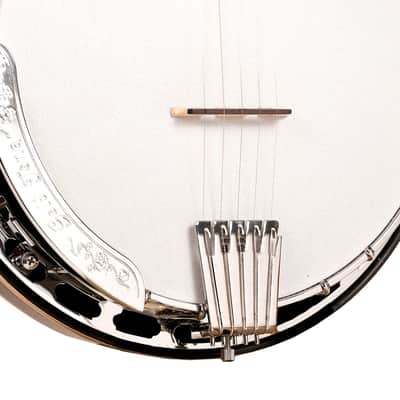 Gold Tone OB-250: Lightweight Orange Blossom Banjo with Case image 7