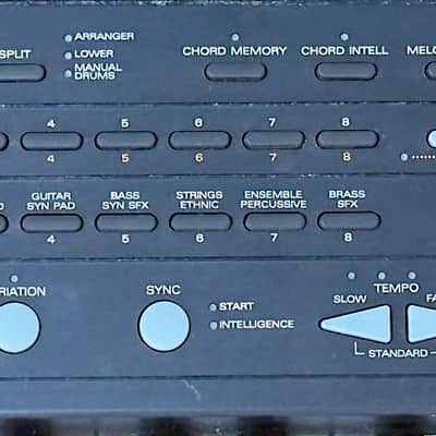 Roland EM-303 Intelligent Arranger Synthesizer, 61 Dynamic Keys, w/ Gig Bag, Music Rest, Adapter & Owner's Manual Very Good Condition image 5