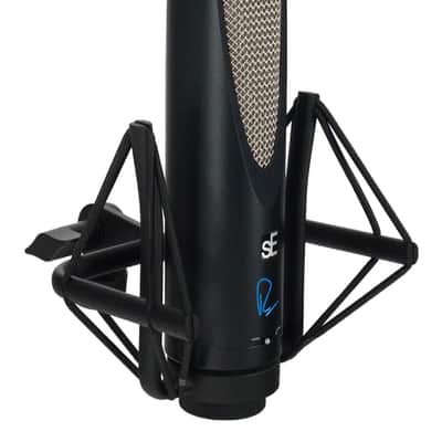 Se Electronics RNR1 Recording Ribbon Microphone+Shockmount+Wooden box+Metal case image 4