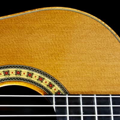 Custom Pegasus Guitar / Ukulelefriend.com image 10