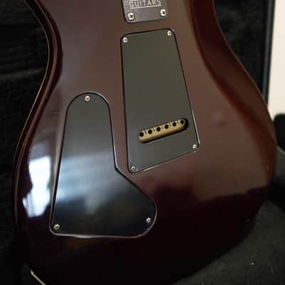 PRS Johnny Hiland Signature 2006 - 2009 - Tortoise Shell image 9
