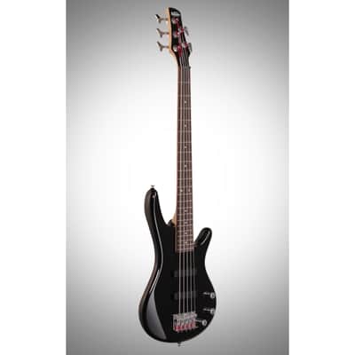 Ibanez GSRM25 GiO Mikro Electric Bass, 5-String image 5