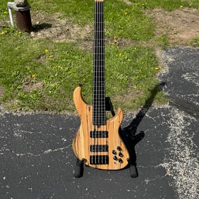Miguel Di Carlo Orfeo Custom Faso Model 5-String Bass (2026) Spalted Maple w/strap and gig bag - VIDEO! image 1