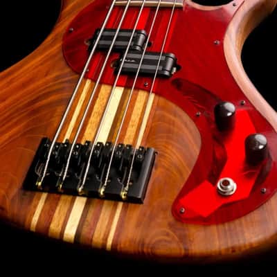 AB Luthier 5 String Pachyderm Style 2024 - Hand rubbed oil image 1