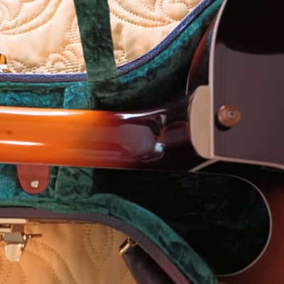 Grote Semi-hollowbody 2019 image 7