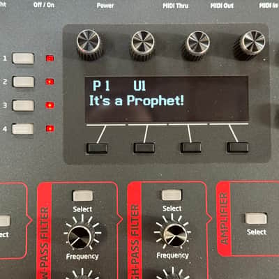 Dave Smith Instruments P12 Prophet 12 2013-2018  Black Excellent Condition Lightly Used image 5