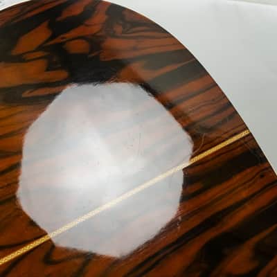 Alvarez 5056 Tree of Life Acoustic image 10