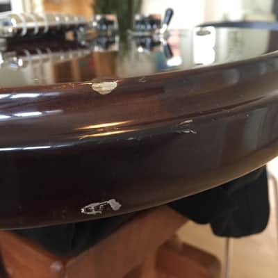 Epiphone SC-350 Scroll 1976 - 1979 - Walnut image 14
