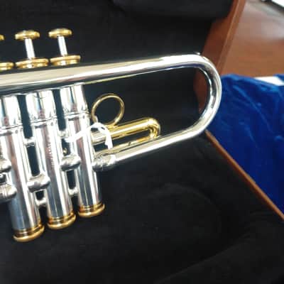 New Carol Brass CTR-5000L-GST-Bb-SRL Mariachi Model Bb Trumpet - Silver Plate/Gold Lacquer with Case image 7