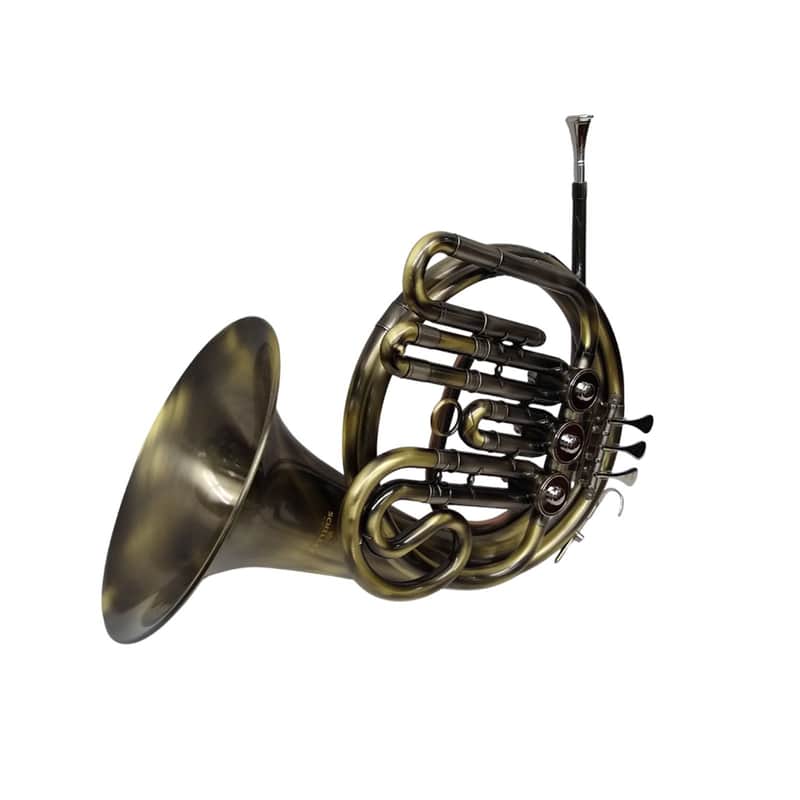 Schiller Youth Advanced Series French Horn Turkish Brass