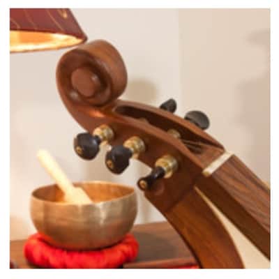 Roosebeck DMCRT5 | Mountain Dulcimer 5-String with Cutaway Upper Bout and F-Holes. New with Full Warranty! image 2