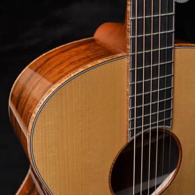 Baden - American Made TJ Baden Guitar Madagascar image 7