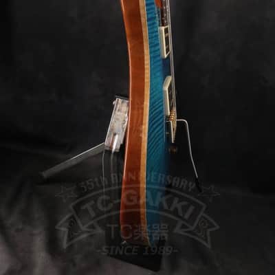 Paul Reed Smith Custom 24 Artist Package image 6