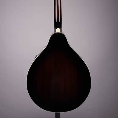 Ibanez M510 A Style Acoustic Mandolin Dark Violin Sunburst High Gloss image 4