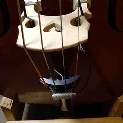 Eastman Upright Bass VB80 image 5