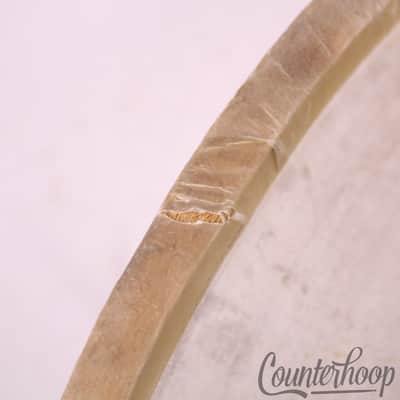 Leedy/Ludwig Snare 14" Calf Skin Drum Head Slunk Resonant Vintage 20s Maple Hoop image 4