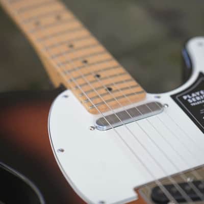 Fender Player Telecaster, Maple Fingerboard - 3-Color Sunburst(2) image 8